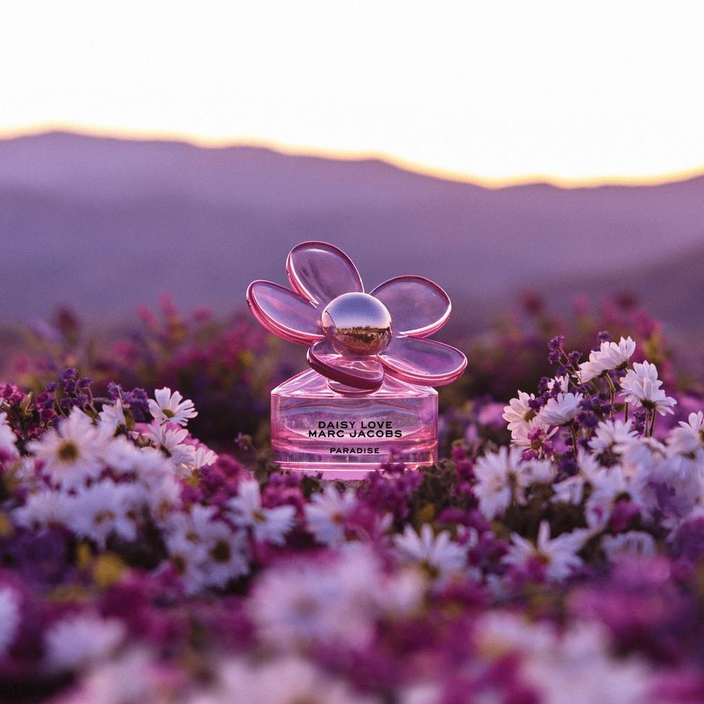 Marc Jacobs Daisy Paradise Collection Painting in Purple and Pink