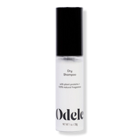 Dry Shampoo Powder