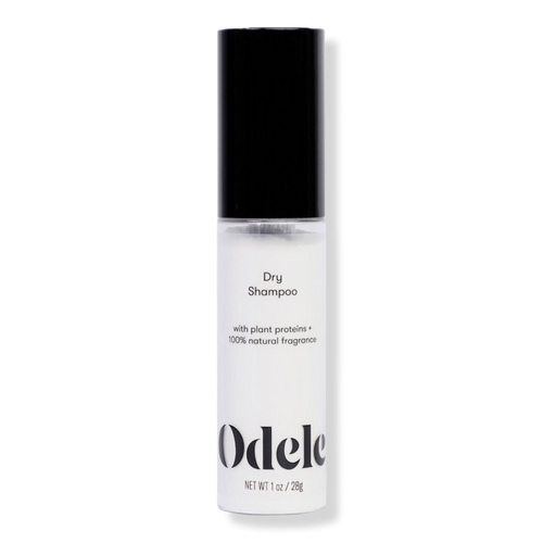 Dry Shampoo Powder for Oil Control + Volume