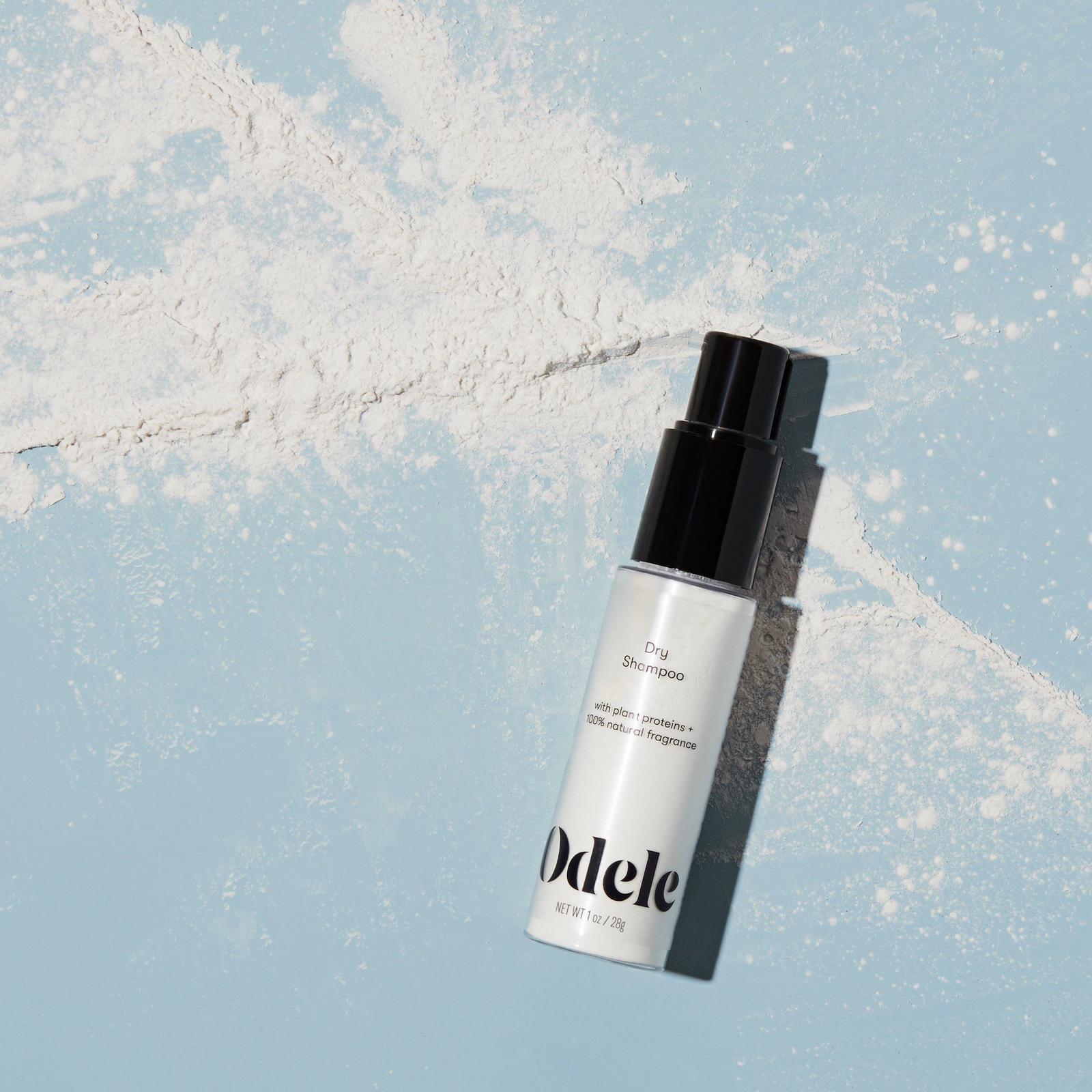 Dry Shampoo Powder