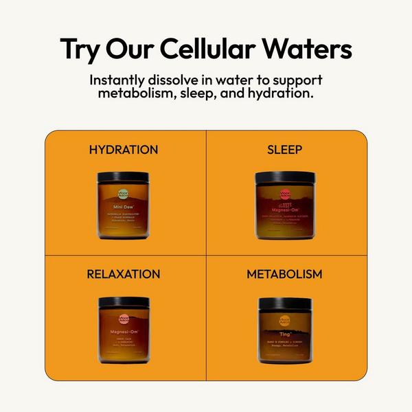 Moon Juice Ting Energy and Metabolism Supplement #6