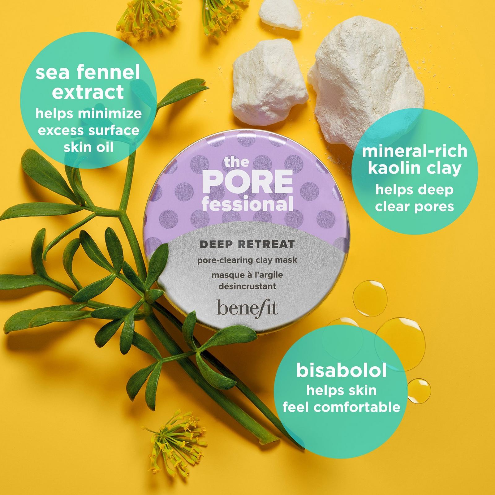 The POREfessional Deep Retreat Pore-Clearing Clay Mask