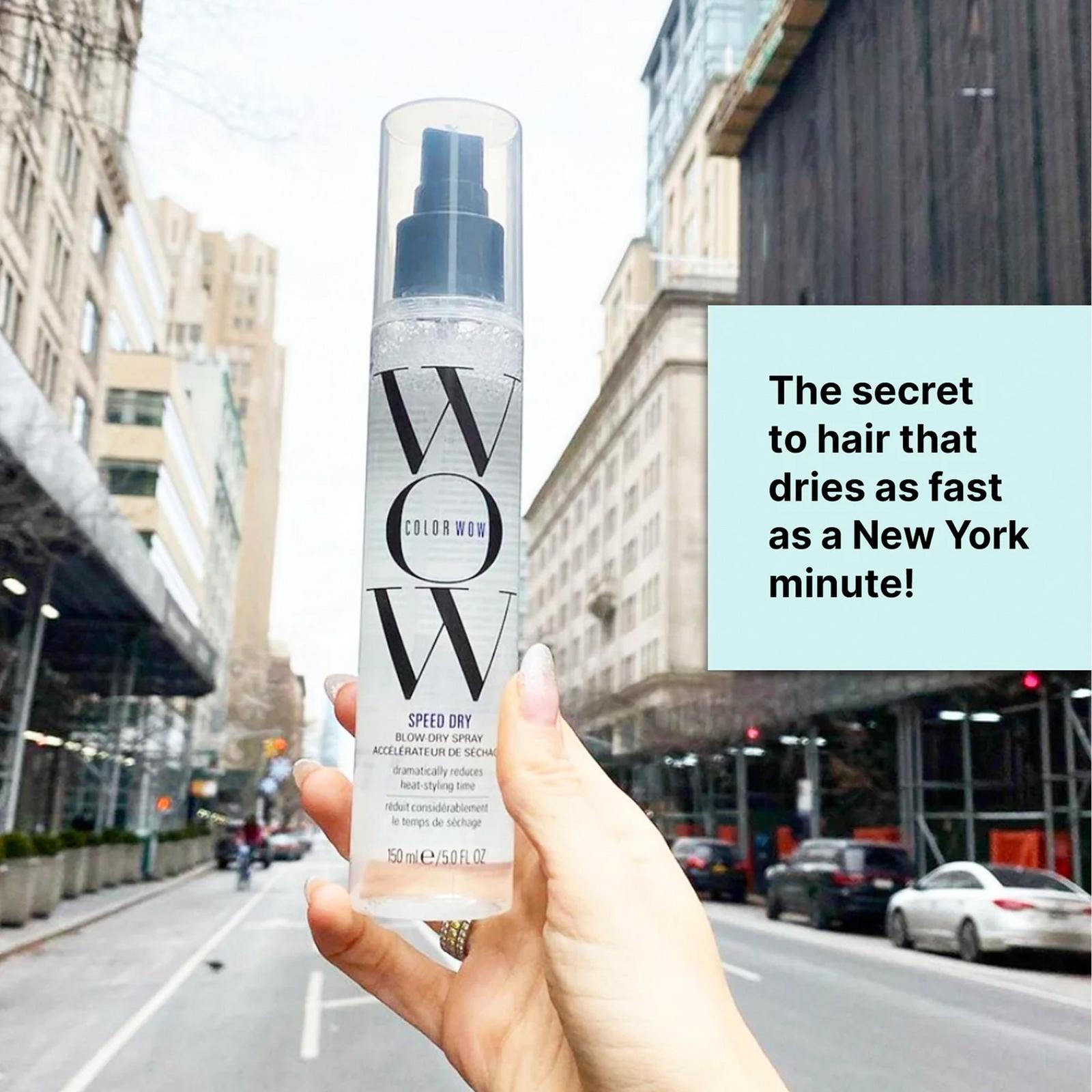 Speed Dry Blow Dry Spray
