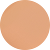 3W1 Dusk