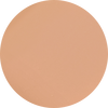 3W0 Sandstone