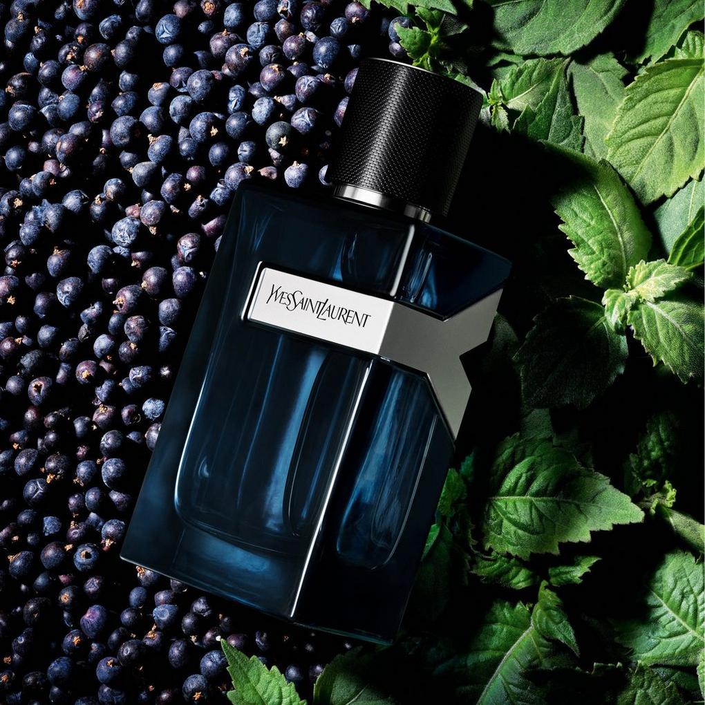 Saint laurent mens discount perfume