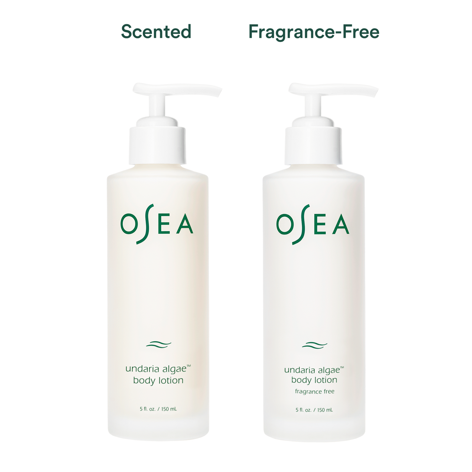 Undaria Collagen Body Lotion