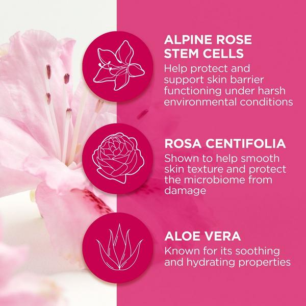 Andalou Naturals 1000 Roses Soothing Sleeping Mask #4