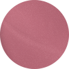 Thera-Tulip