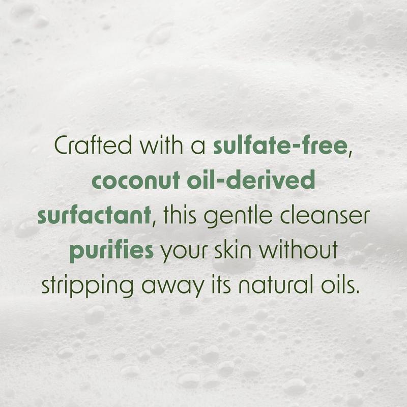 Aloe Vera Leaf Face & Body Bar Soap