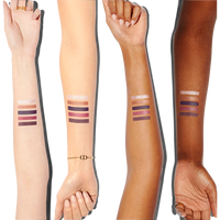 【未使用】限定品 ULTRA Dior Couture Palette Holiday Limited-Edition Dior Couture Palette | Dior QA