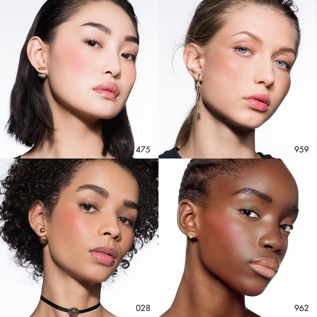 Rouge dior blush sales