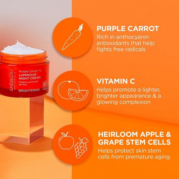 Andalou Naturals Brightening Purple Carrot + C Luminous Night Cream #2