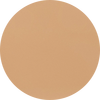 2N1 Desert Beige