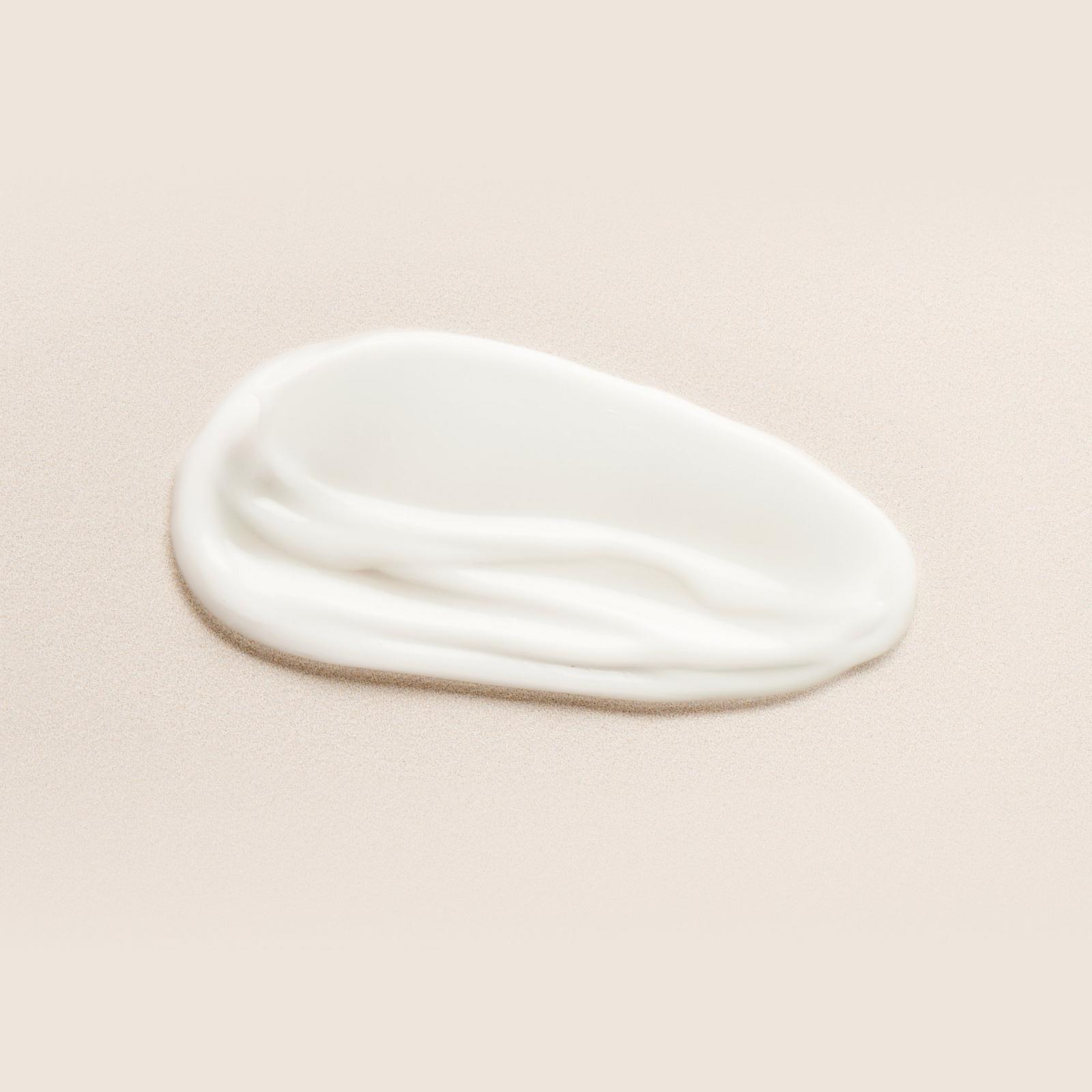 Ceramide + Camellia Restorative Night Cream