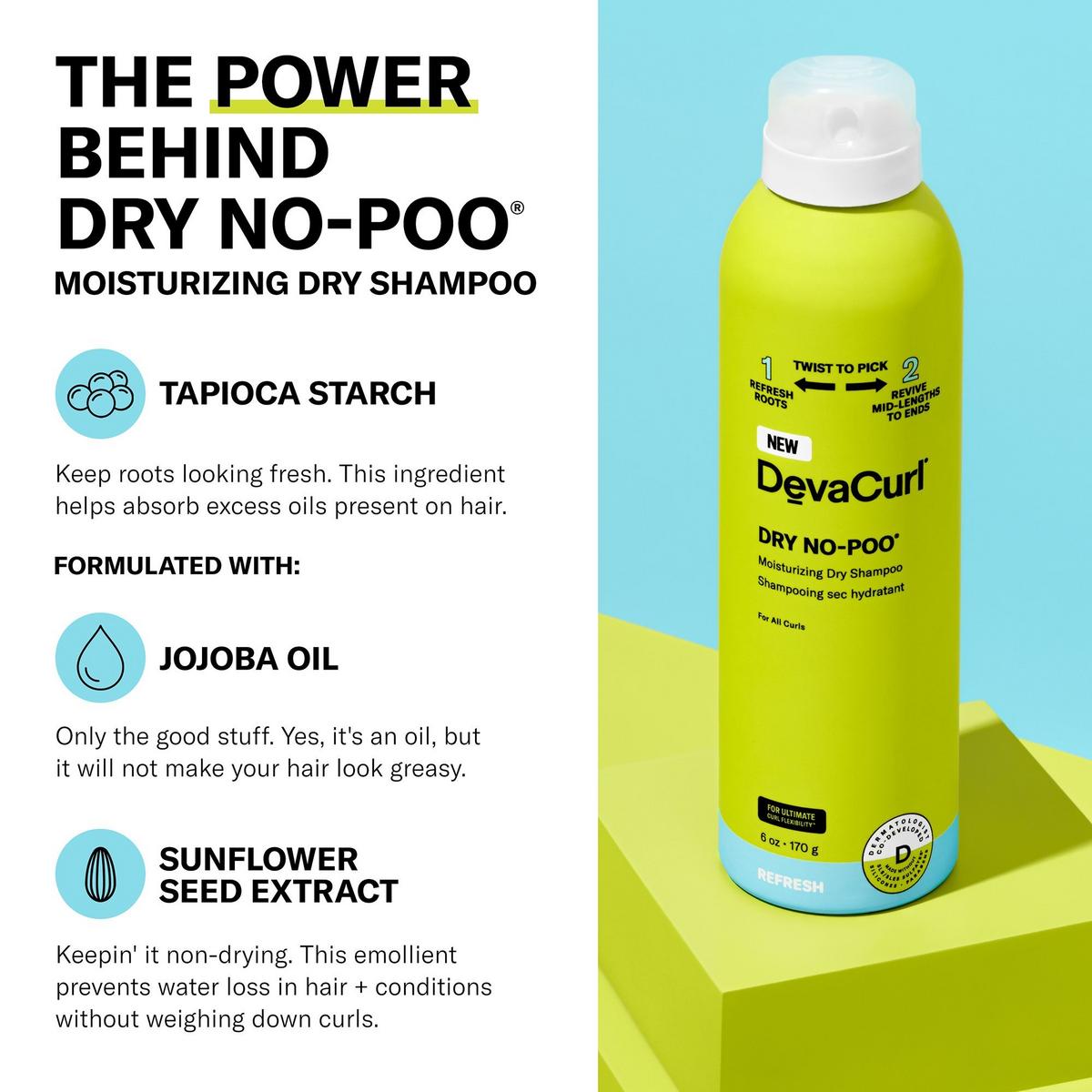 DevaCurl Dry No-Poo Moisturizing Dry Shampoo 6oz