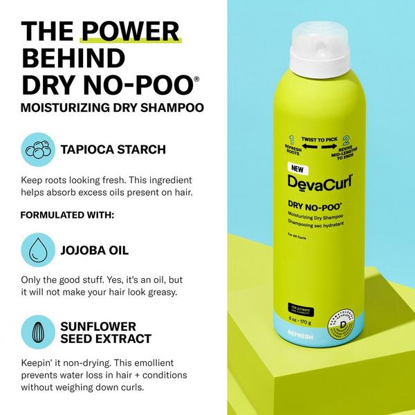 DevaCurl DRY NO-POO Moisturizing Dry Shampoo #2