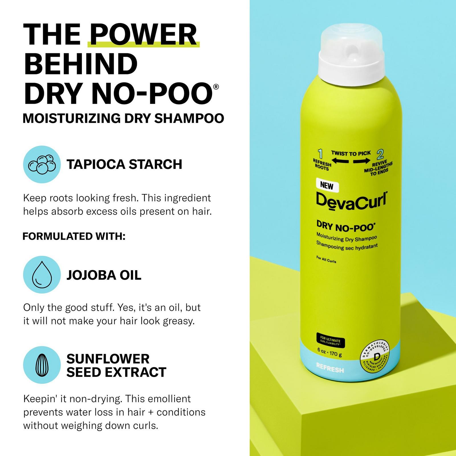 DevaCurl Dry No-Poo Moisturizing Dry Shampoo 6oz DevaCurl Dry No-Poo Moisturizing Dry Shampoo 6oz