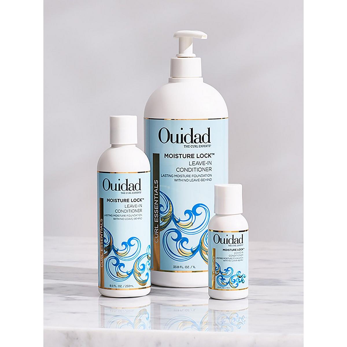 Moisture Lock Leave-In Conditioner