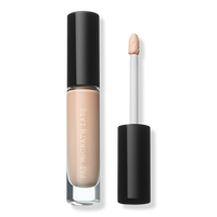 Skin Fetish: Sublime Perfection Full Coverage Concealer