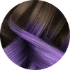 Purple Reign