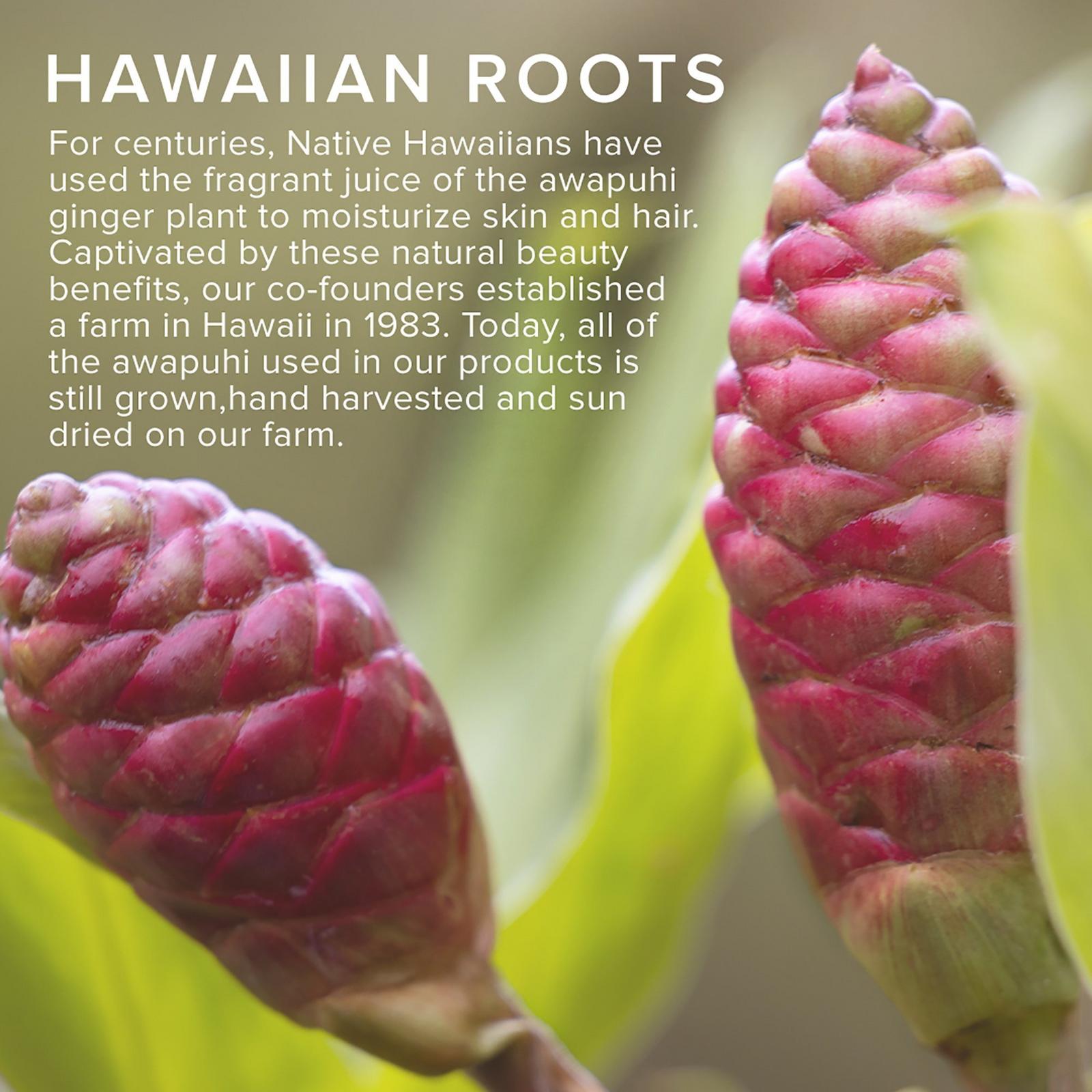 Travel Size Awapuhi Wild Ginger Styling Treatment Oil