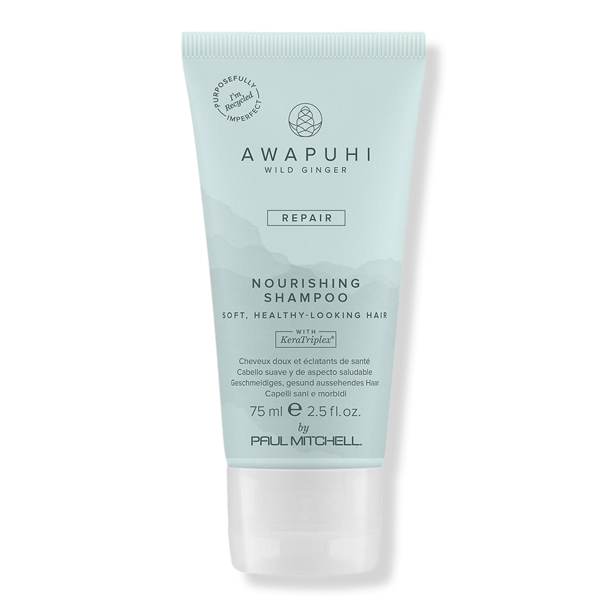 Paul Mitchell Travel Size Awapuhi Wild Ginger Nourishing Shampoo #1