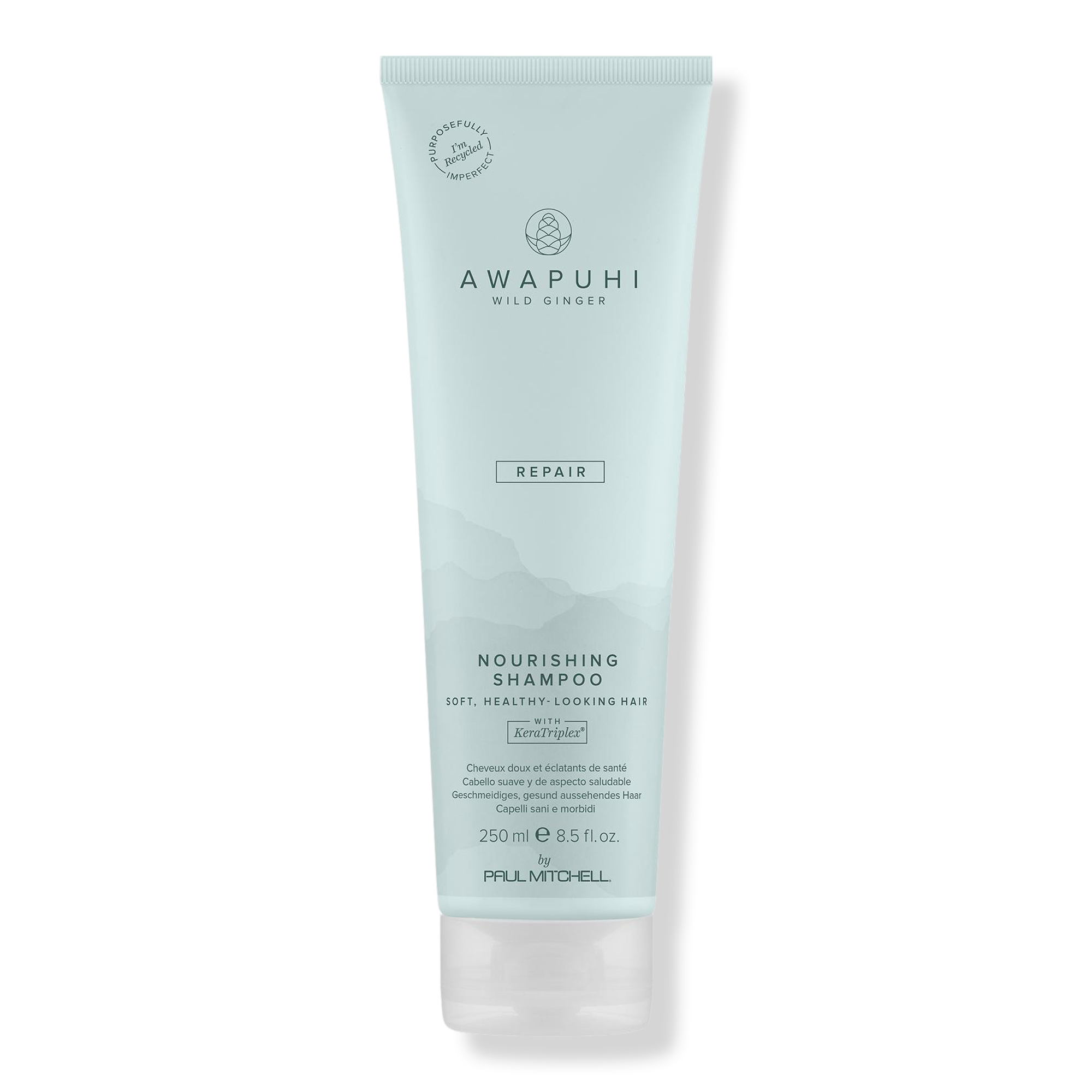 Paul Mitchell Awapuhi Wild Ginger Nourishing Shampoo #1