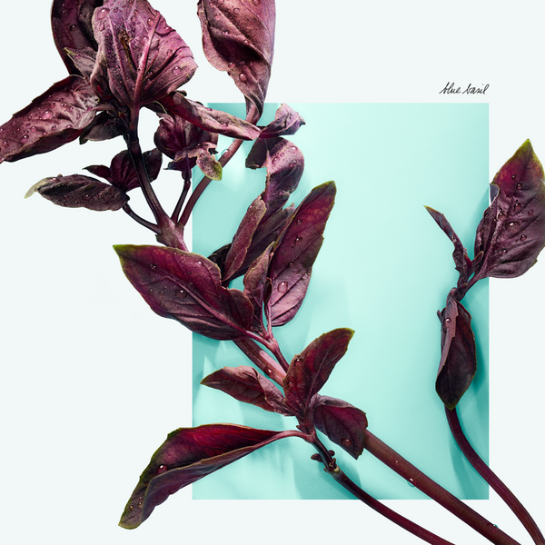 Tiffany & Co. Tiffany & Love For Her Eau de Parfum Gift Set #2