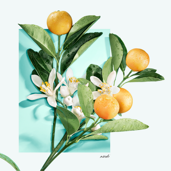 Tiffany & Co. Tiffany & Love For Her Eau de Parfum Gift Set #3