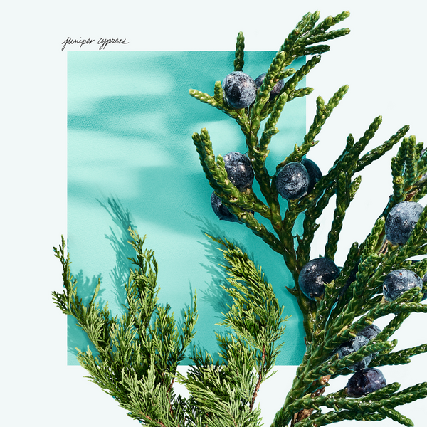 Tiffany & Co. Tiffany & Love For Her Eau de Parfum Gift Set #5