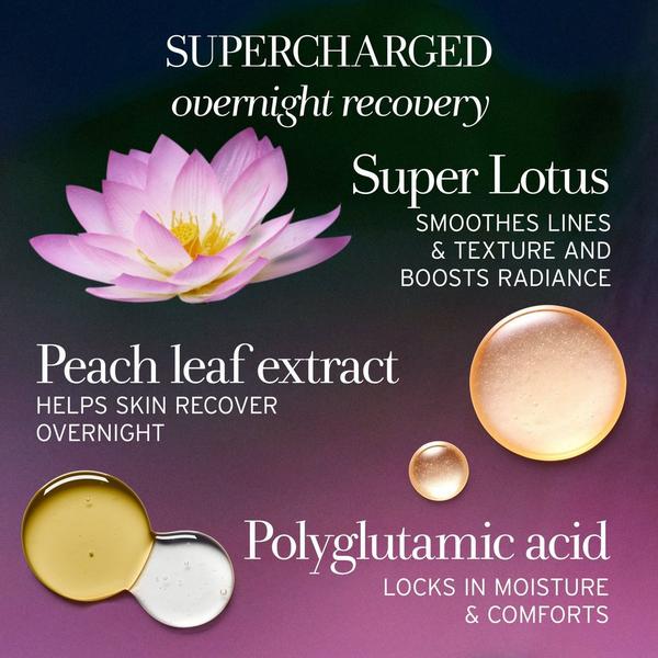 fresh Lotus Youth Preserve Radiance Renewal Night Cream #5