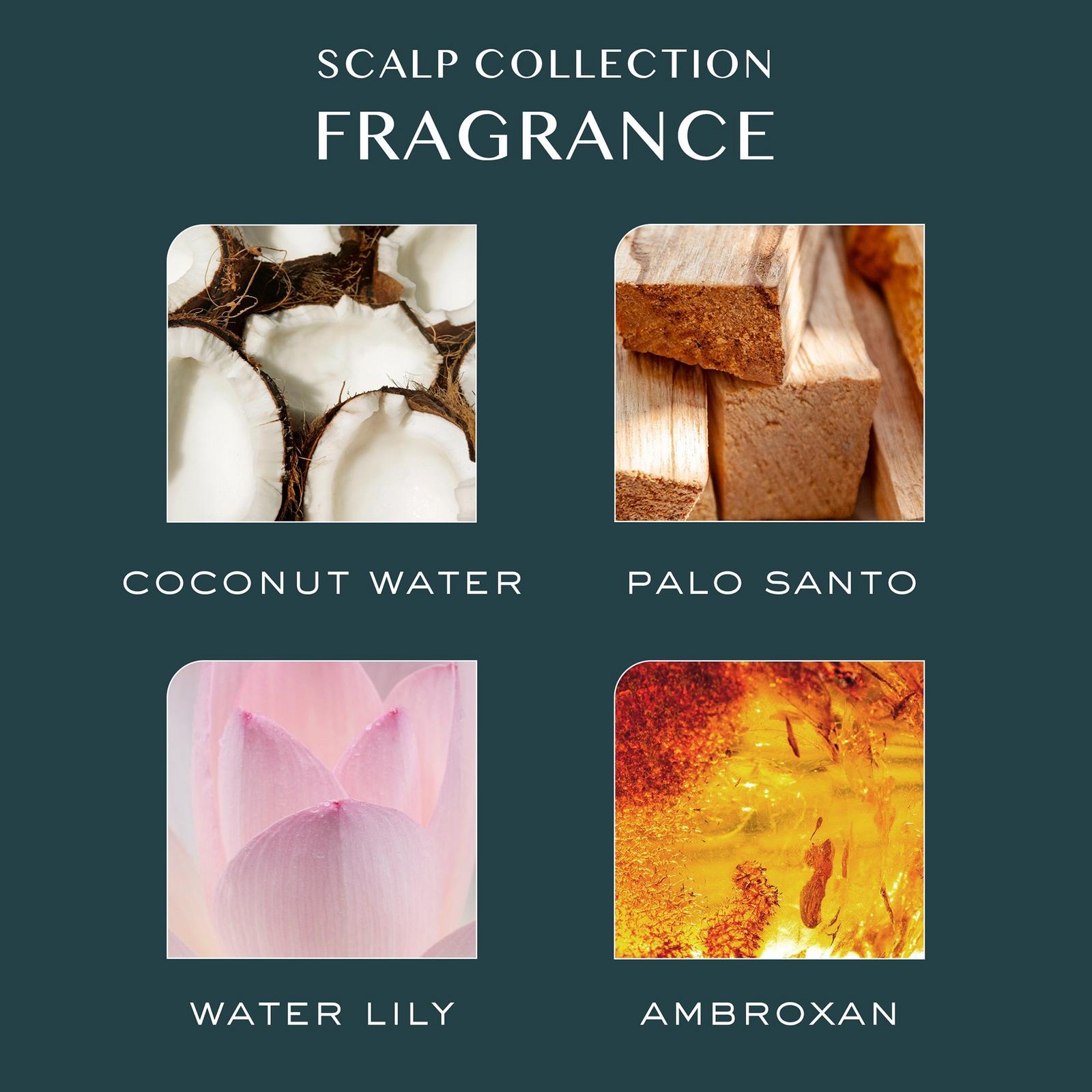 Anytime Anywhere Scalp + Hair Milk Oil