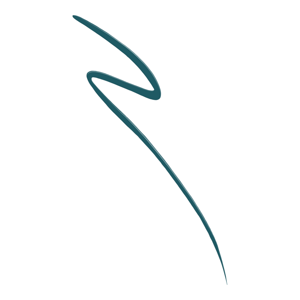Eyestudio Master Precise All Day Liquid Eyeliner