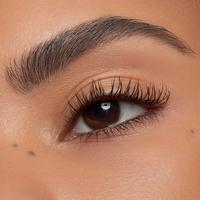 5本 Upper Lash No.1 Eyelash Essence No.1アイラッシュエッセンス｜マツエク商材の はまざき