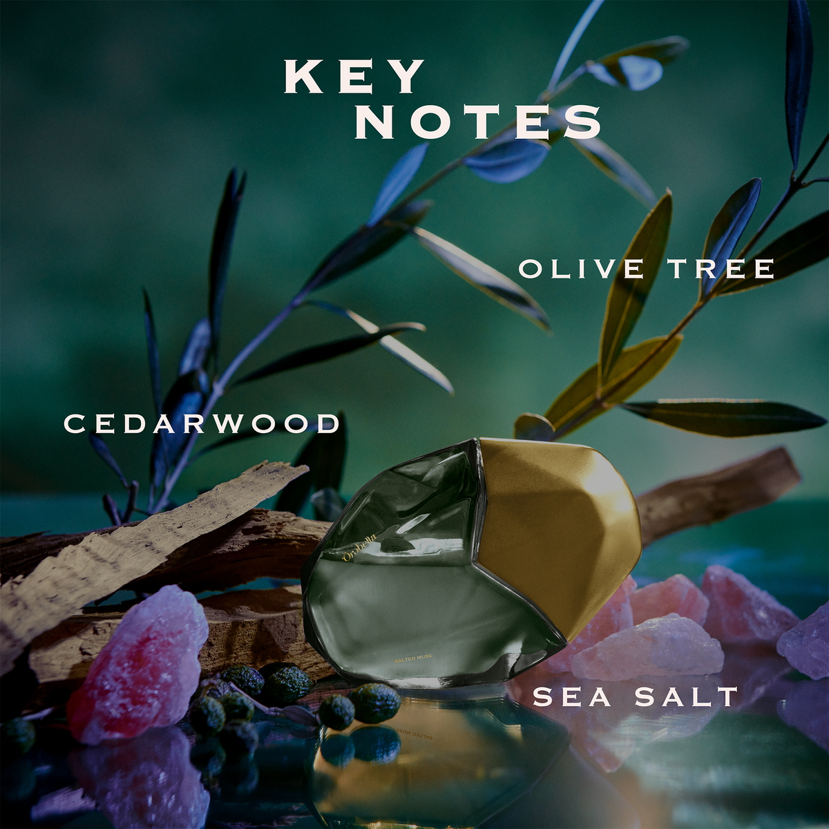 SALTED MUSE Parfum