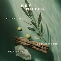 Orebella SALTED MUSE Parfum #5