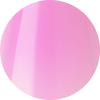 Jelly Case