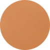 4N1