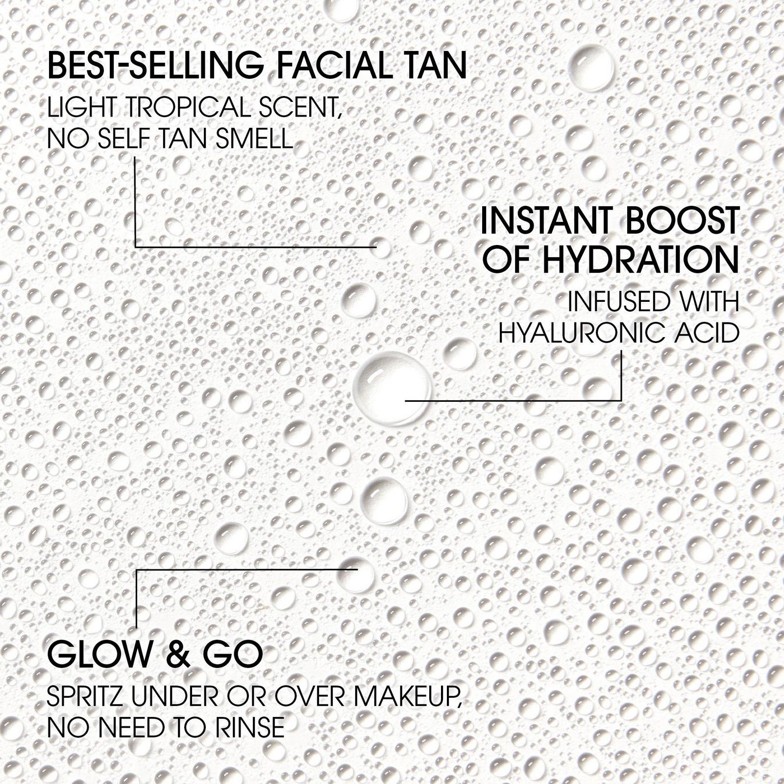Self Tan Purity Mini Kit