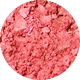 Paris Polite Pops Powder Blush Stick 