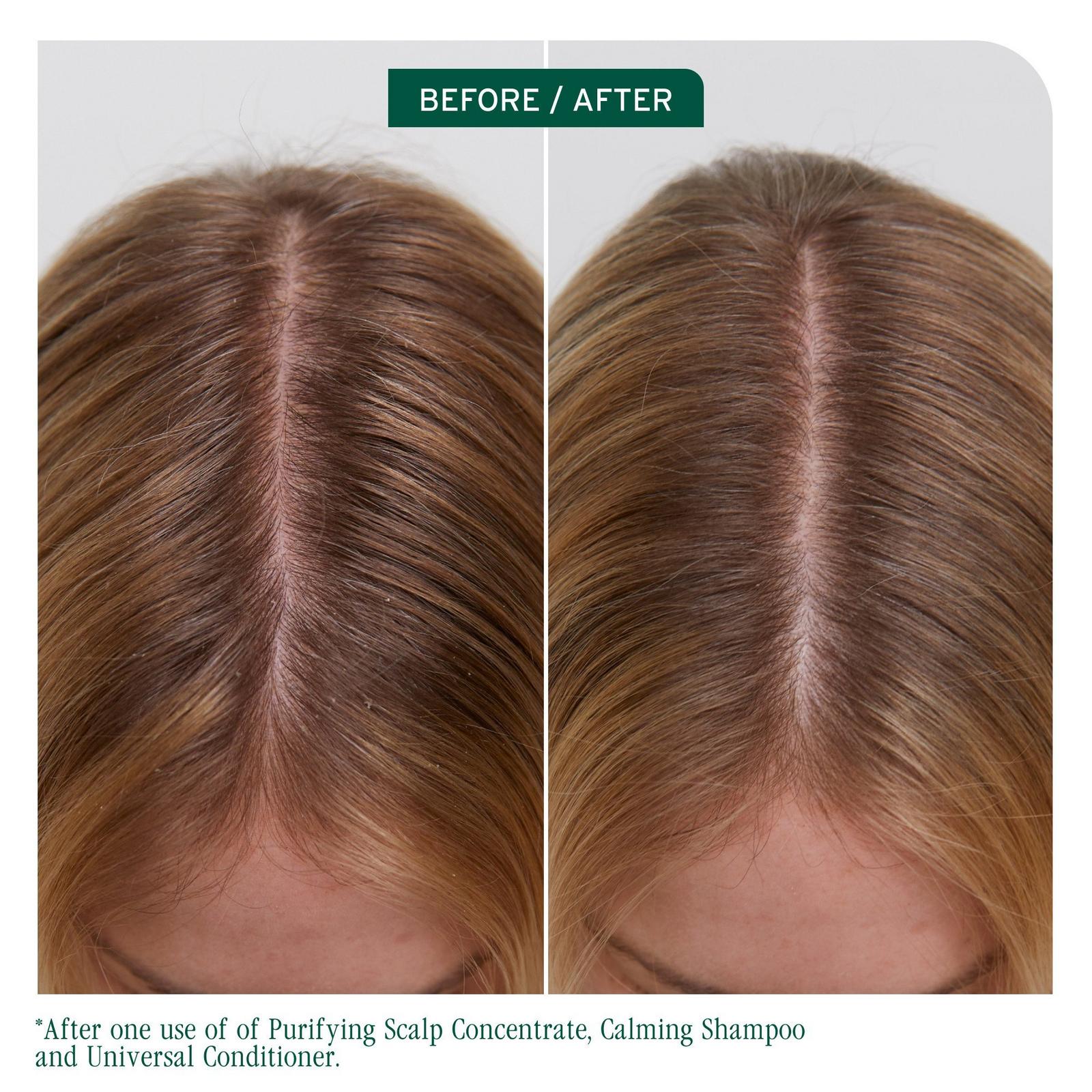 Scalp Sync Universal Conditioner