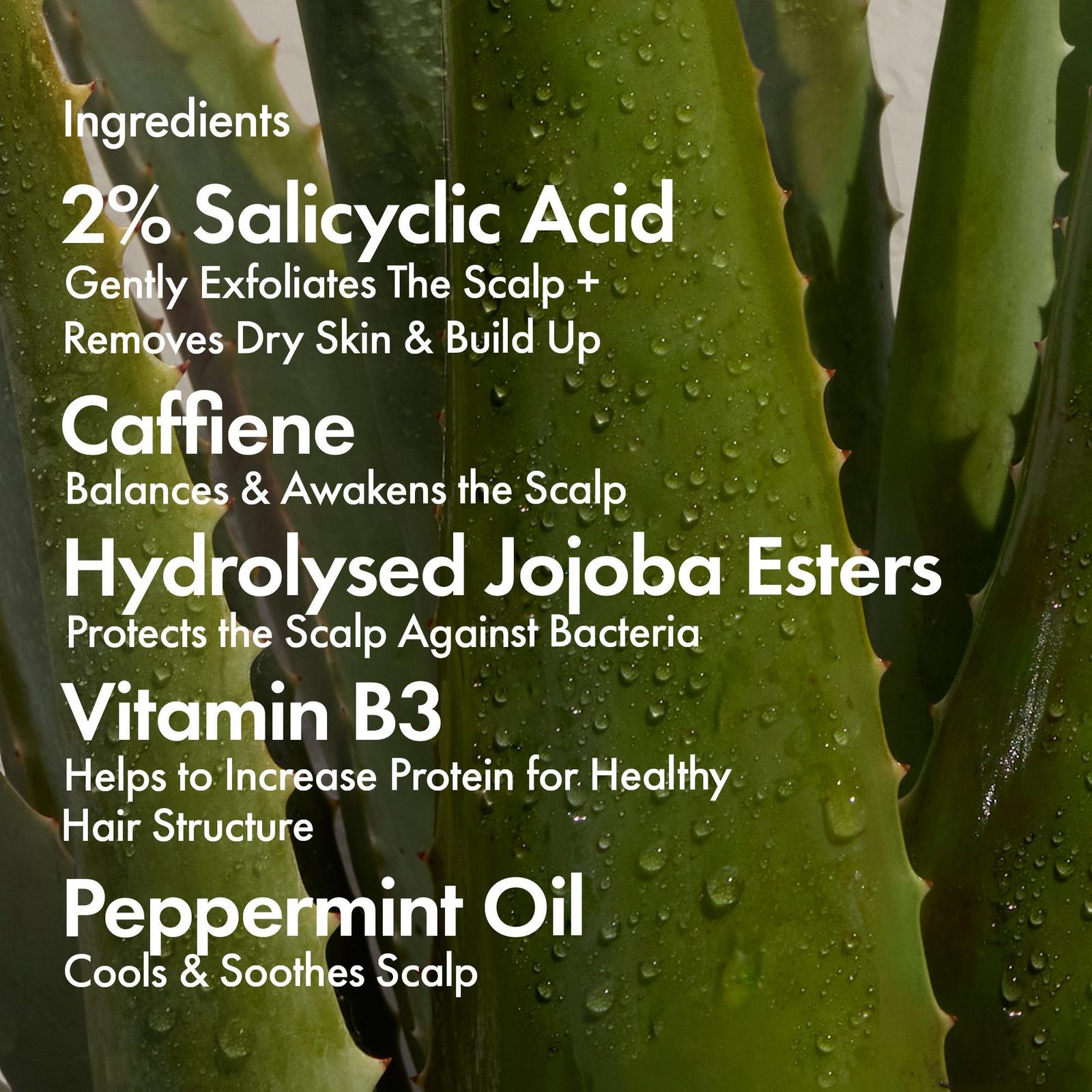 Dandruff Repair Leave-In Scalp Serum