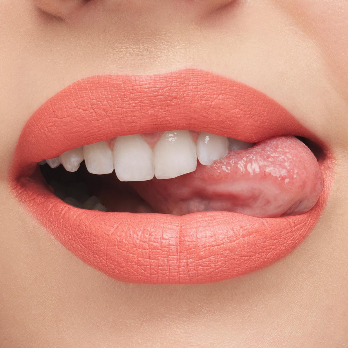 M·A·Cximal Silky Matte Lipstick