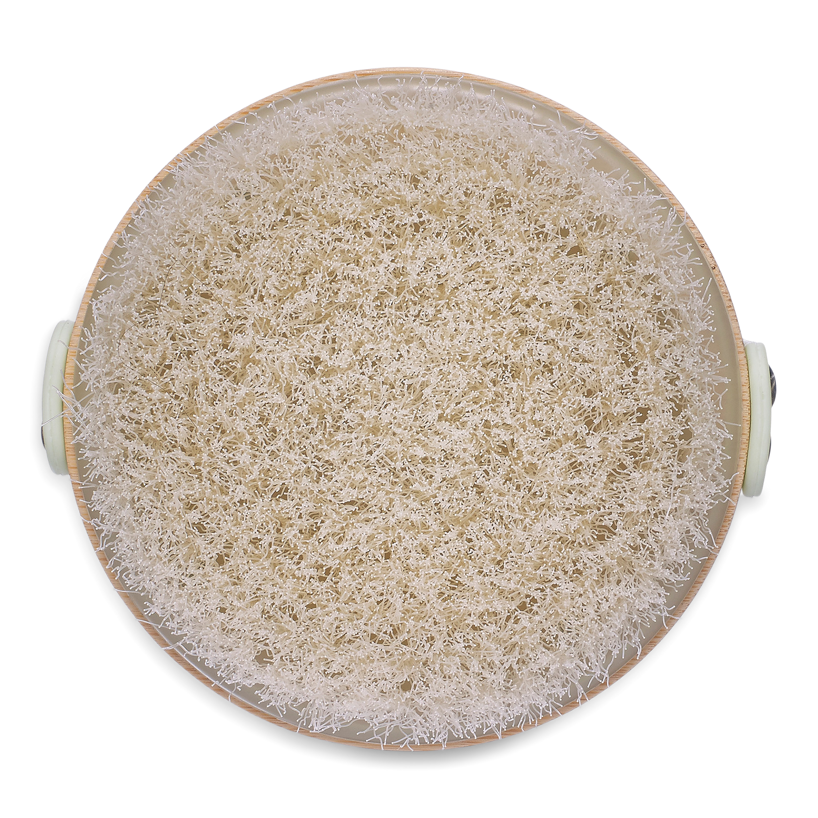 Dry Body Brush with Bamboo