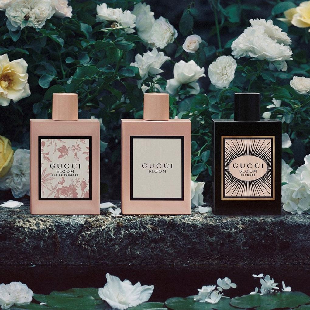 Gucci bloom 100ml online gift set