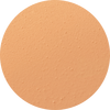 NC20