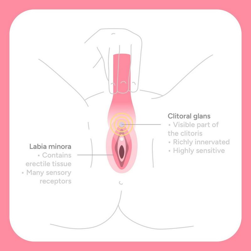vacation sex toys Smile Makers 