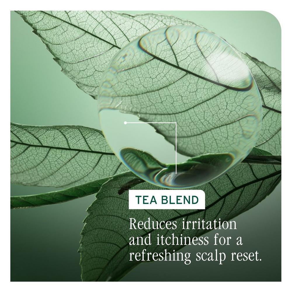 Travel Size Scalp Sync Anti-Dandruff Shampoo