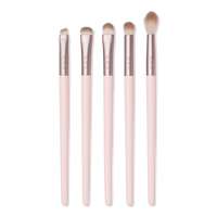 Eye Essentials Brush Set